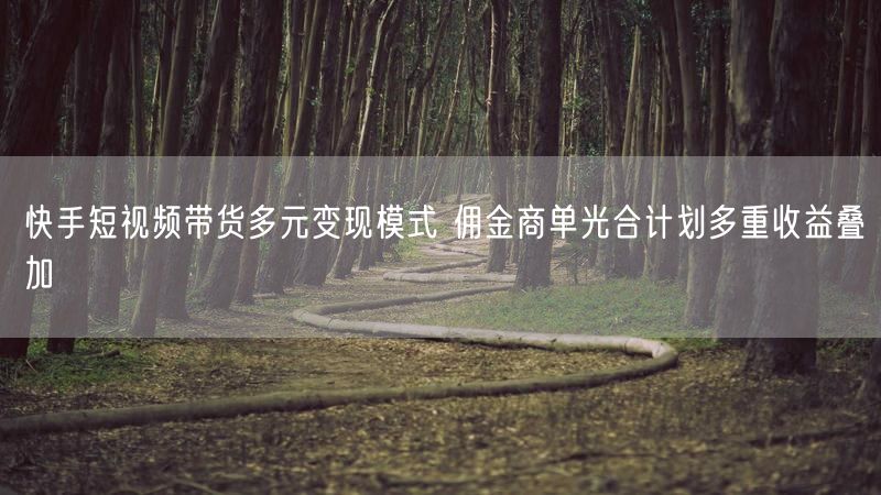 快手短视频带货多元变现模式 佣金商单光合计划多重收益叠加