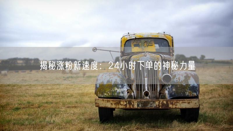 揭秘涨粉新速度：24小时下单的神秘力量