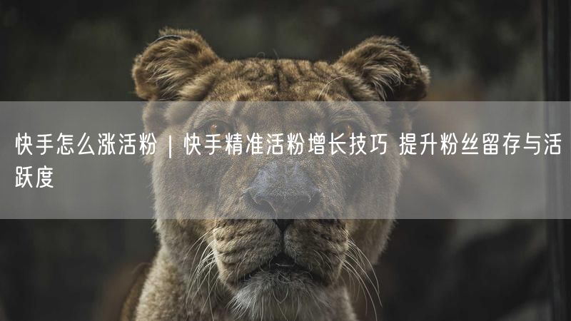 快手怎么涨活粉｜快手精准活粉增长技巧 提升粉丝留存与活跃度