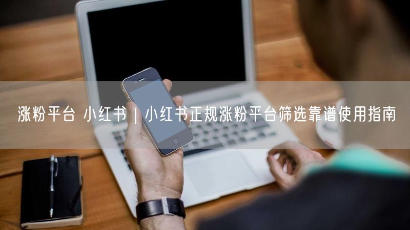 小红书涨粉全攻略：正规平台筛选+避坑涨粉技巧