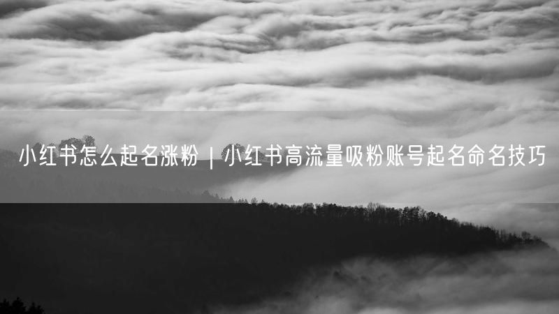 小红书怎么起名涨粉｜小红书高流量吸粉账号起名命名技巧