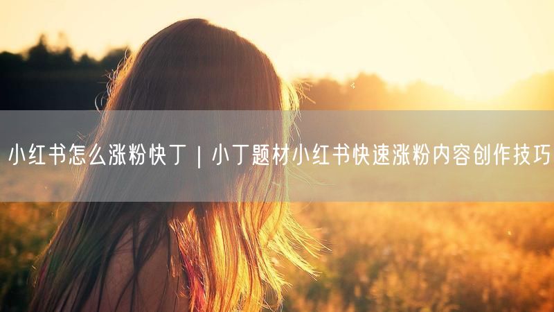 小红书怎么涨粉快丁|小丁题材小红书快速涨粉内容创作技巧