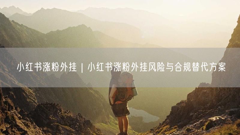 小红书涨粉外挂|小红书涨粉外挂风险与合规替代方案