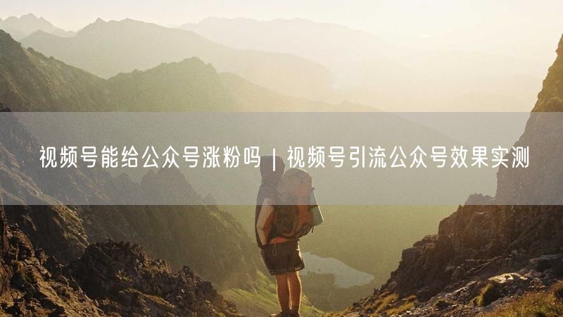 视频号能给公众号涨粉吗｜视频号引流公众号效果实测