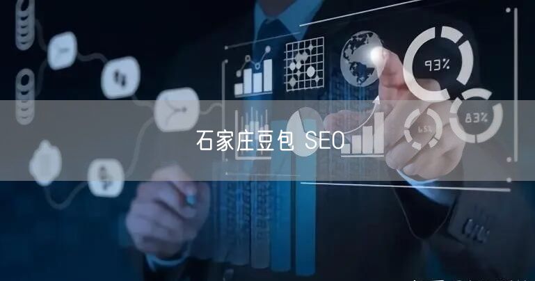 石家庄豆包 SEO