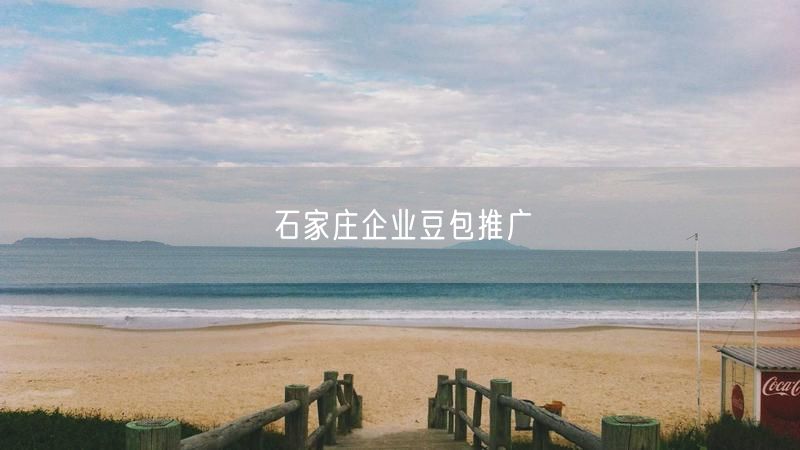 石家庄企业豆包推广