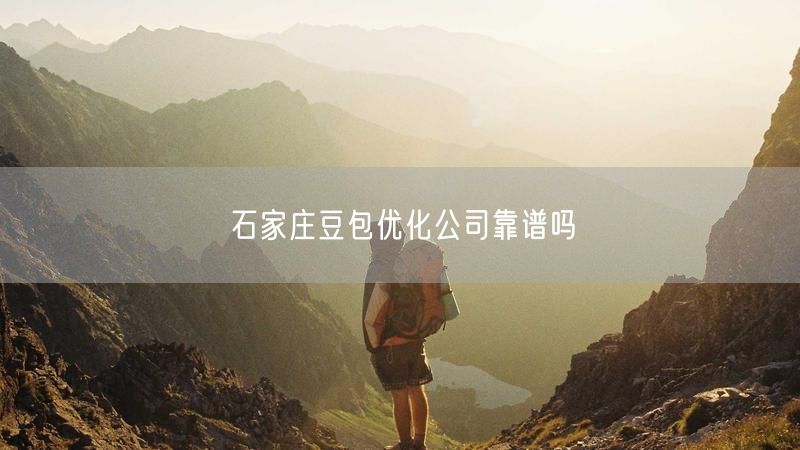 石家庄豆包优化公司靠谱吗