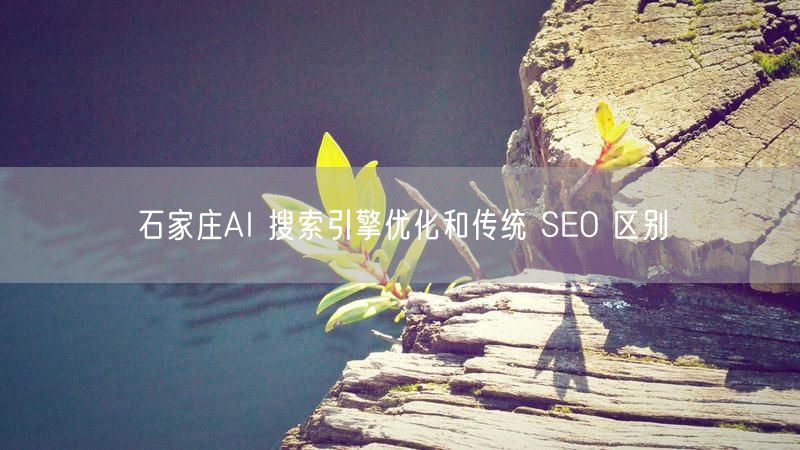 石家庄AI 搜索引擎优化和传统 SEO 区别