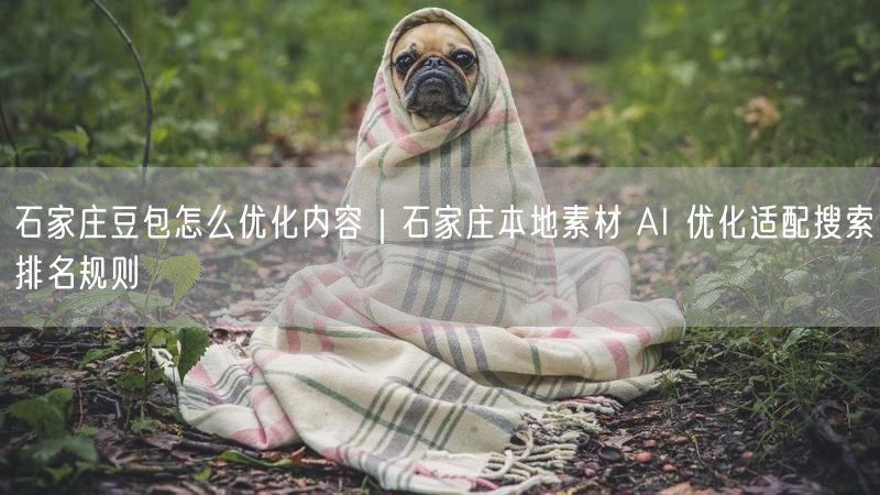 石家庄豆包优化：本地素材AI+SEO技巧提升搜索排名