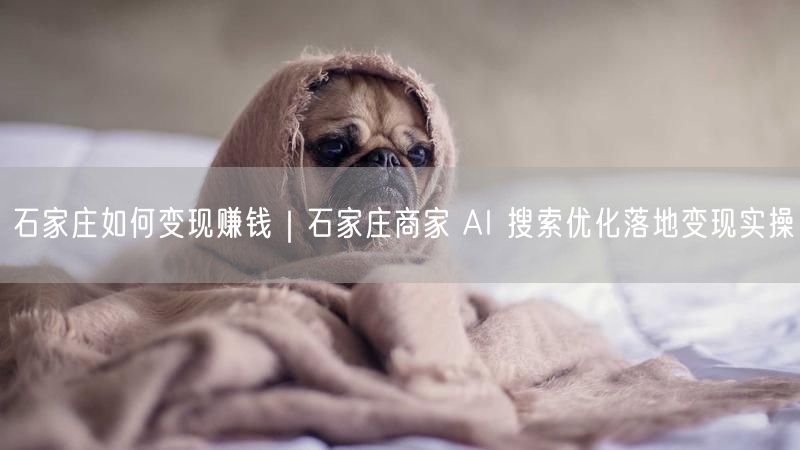 石家庄商家必看：AI优化实操，轻松实现变现赚钱