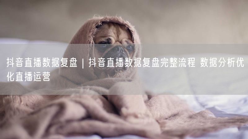 抖音直播数据复盘｜抖音直播数据复盘完整流程 数据分析优化直播运营