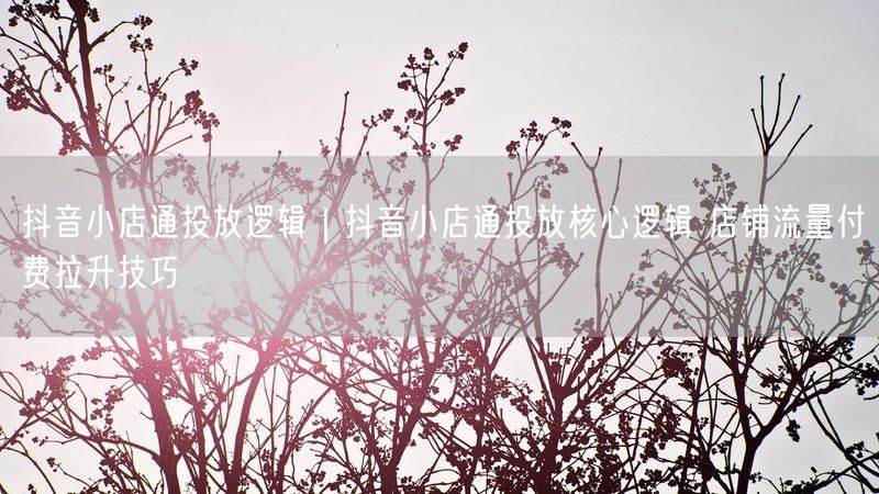 抖音小店通投放逻辑｜抖音小店通投放核心逻辑 店铺流量付费拉升技巧
