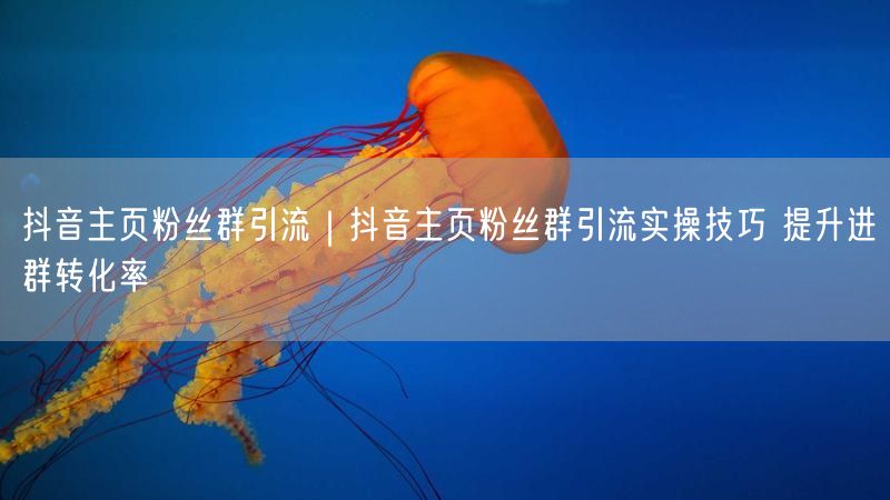 抖音主页粉丝群引流｜抖音主页粉丝群引流实操技巧 提升进群转化率