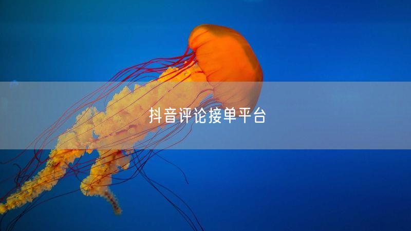 抖音评论接单平台