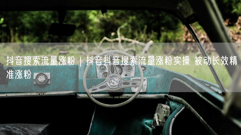 抖音搜索流量涨粉｜抖音抖音搜索流量涨粉实操 被动长效精准涨粉