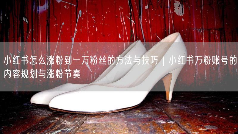 小红书怎么涨粉到一万粉丝的方法与技巧｜小红书万粉账号的内容规划与涨粉节奏