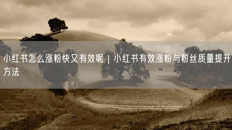 小红书怎么涨粉快又有效呢｜小红书有效涨粉与粉丝质量提升方法