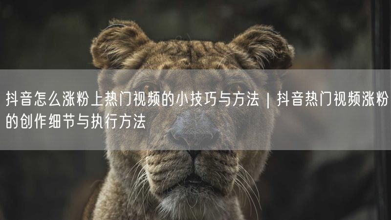 抖音怎么涨粉上热门视频的小技巧与方法｜抖音热门视频涨粉的创作细节与执行方法