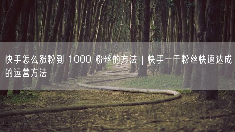 快手怎么涨粉到 1000 粉丝的方法｜快手一千粉丝快速达成的运营方法