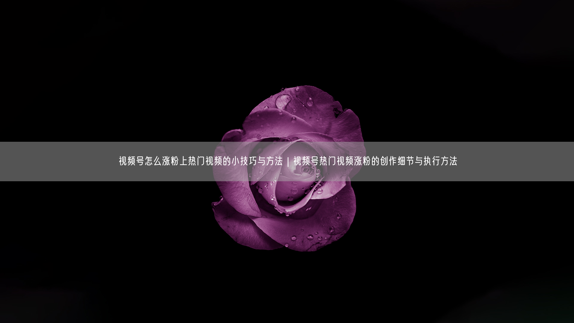 视频号怎么涨粉上热门视频的小技巧与方法｜视频号热门视频涨粉的创作细节与执行方法