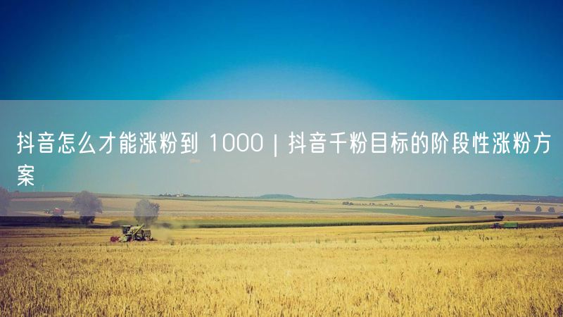 抖音怎么才能涨粉到 1000｜抖音千粉目标的阶段性涨粉方案